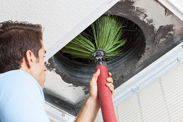 Best Affordable Air Duct Cleaning  in Glen Ellyn, IL